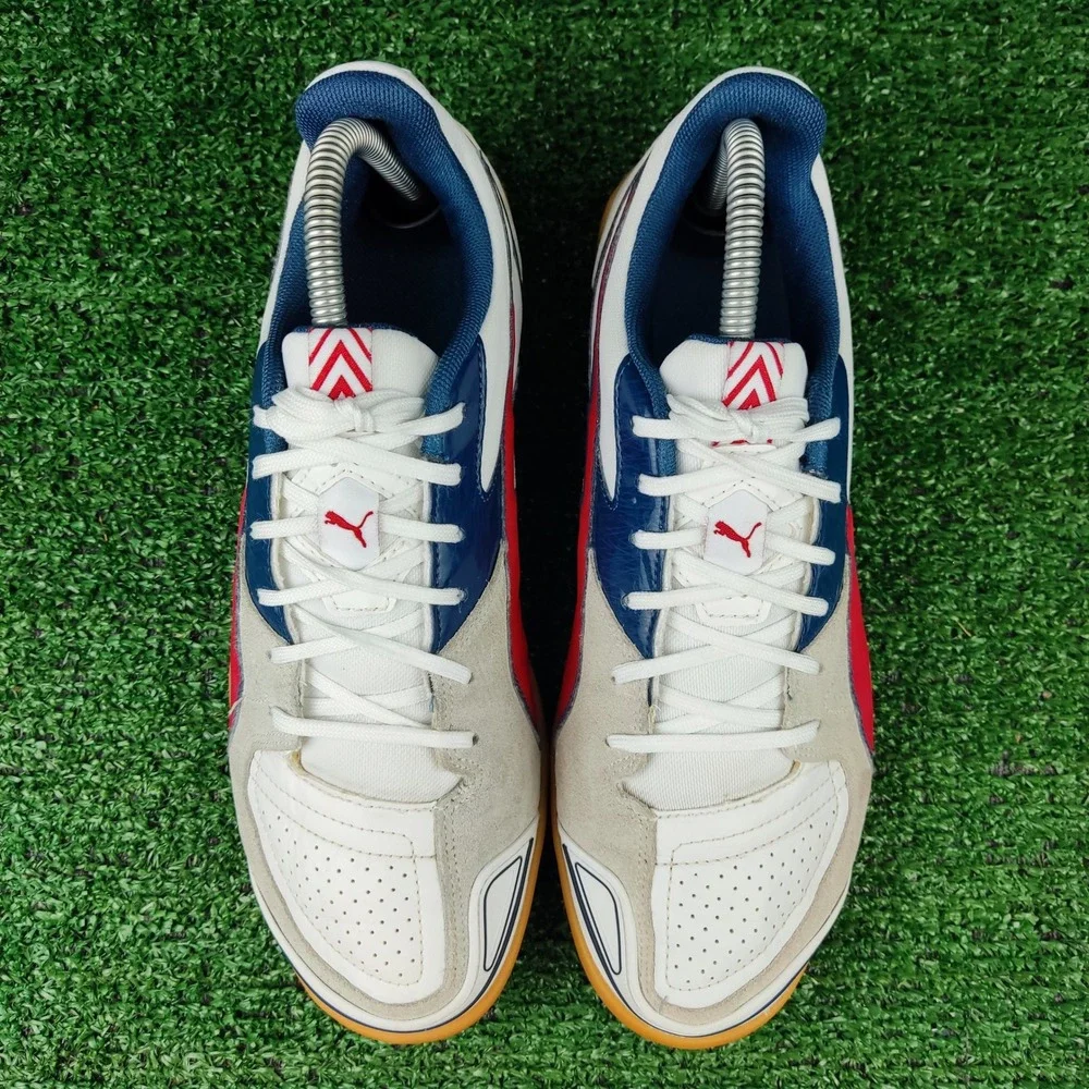 Puma invicto sala